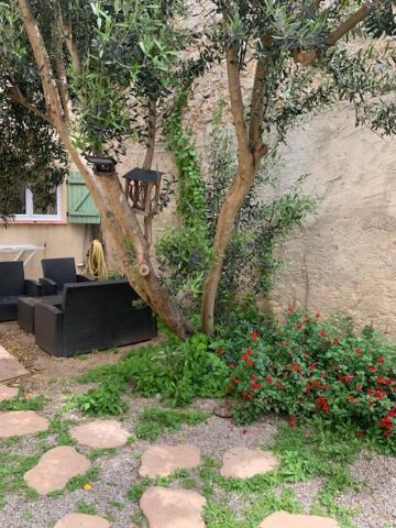 L'Olivier De Nonna Apartment Gruissan Exterior photo
